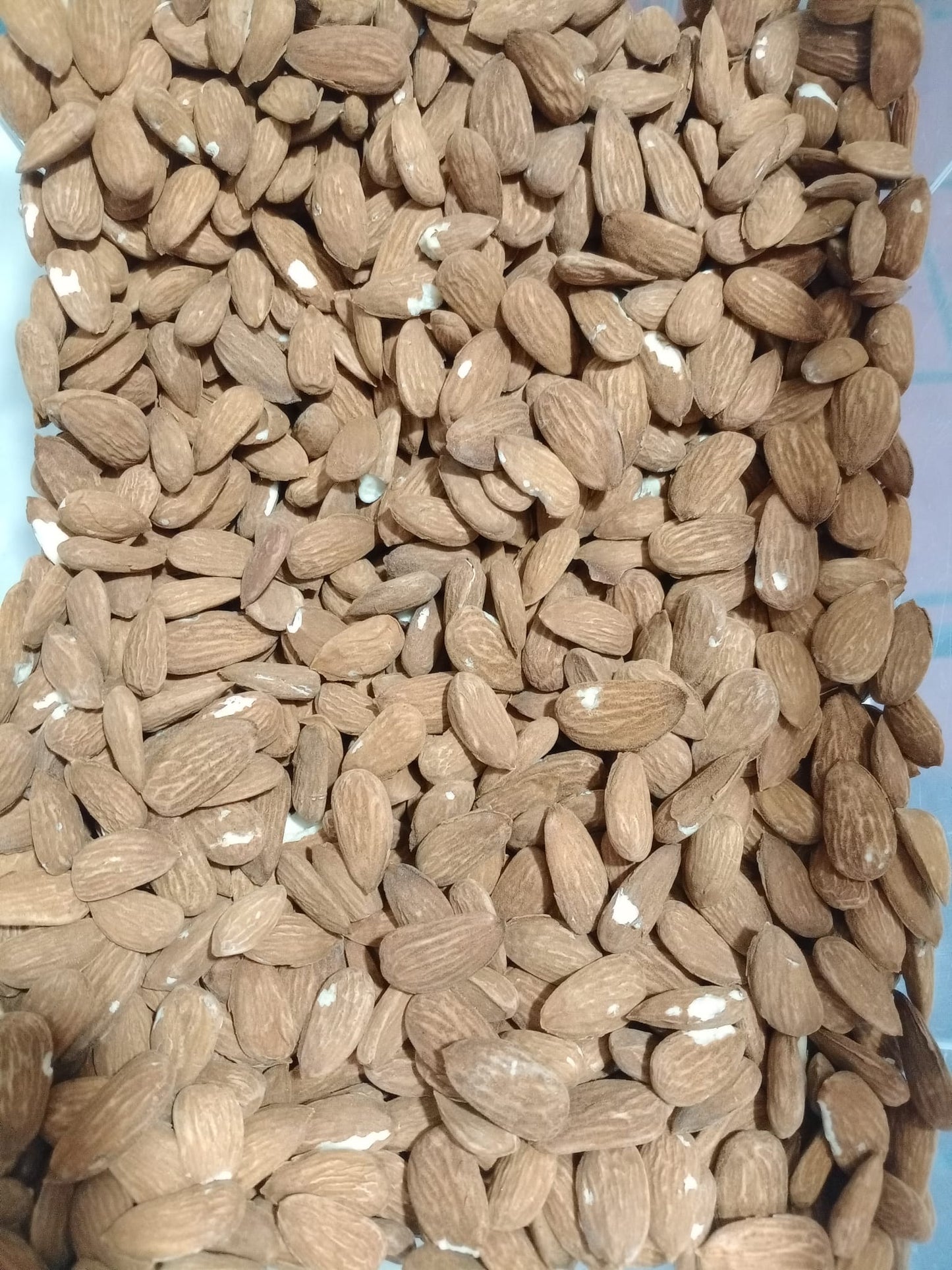 Amêndoa com pele a granel (caixa 10kg)