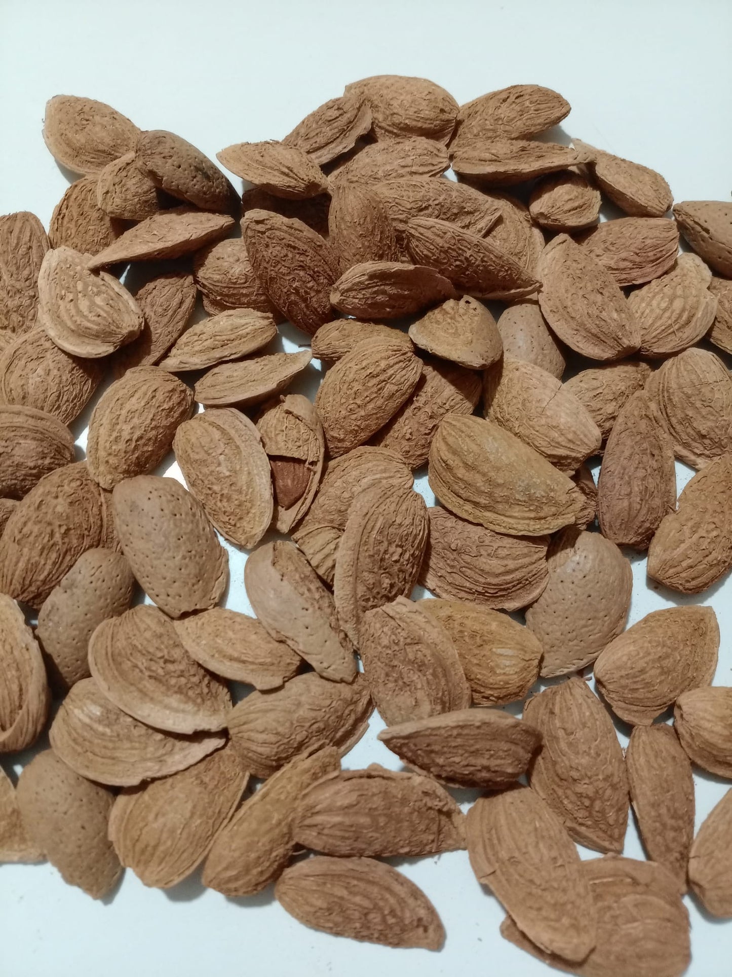 Amêndoa moderna com semi casca