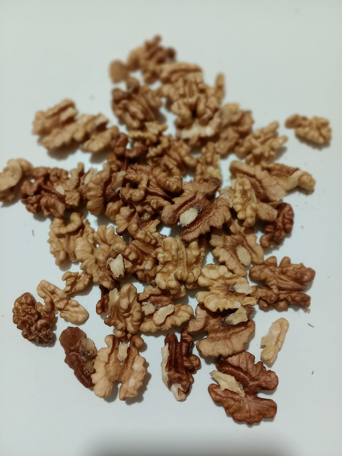 Miolo de Noz