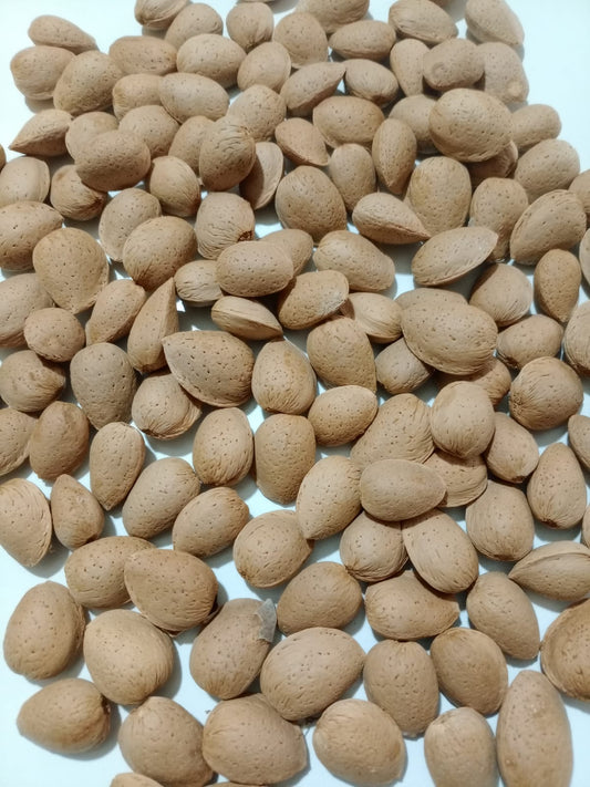 Amêndoa tradicional com casca (saco 10kg)